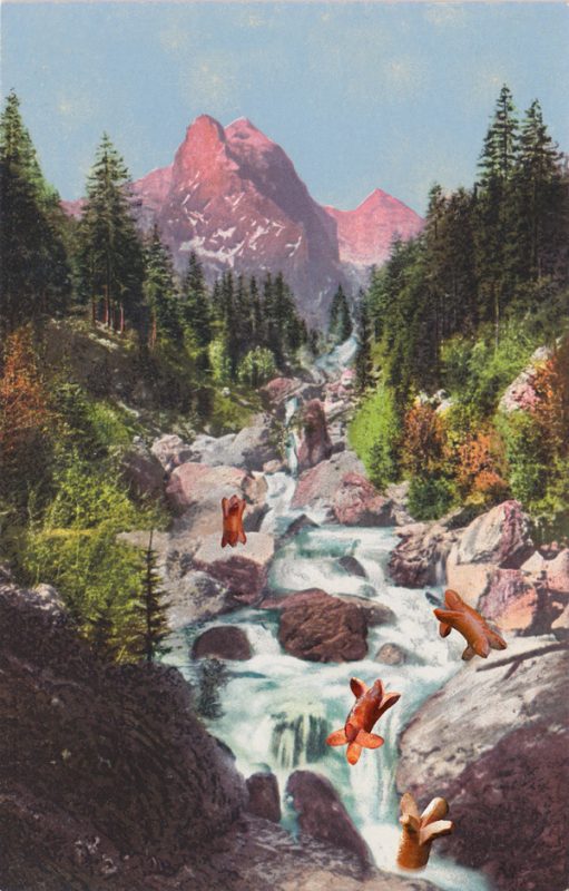 endversion_cervelat_canioning